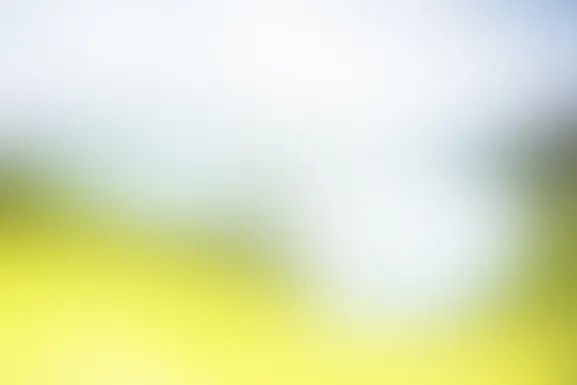 Mint Casino Ondersteuning